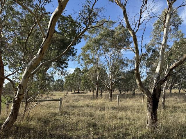 Property for sale in Comaum, South Australia