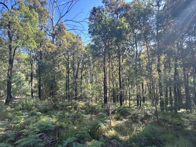 Land for sale in New South Wales