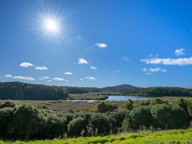 Land for sale in Northland