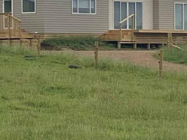 House for rent in Waikato