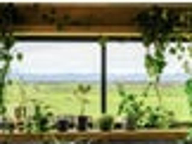 Land for sale in Waikato