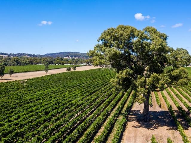 Property for sale in Horseshoe Creek, South Australia