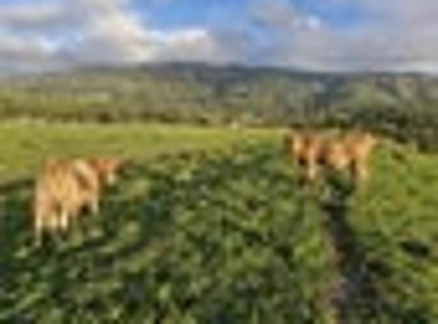 Land for sale in Westport