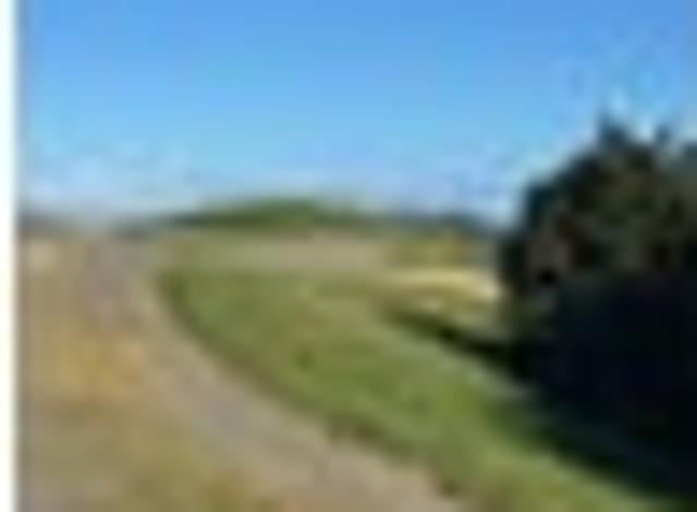 Land for sale in Northland