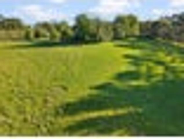 Land for sale in Kawau Island
