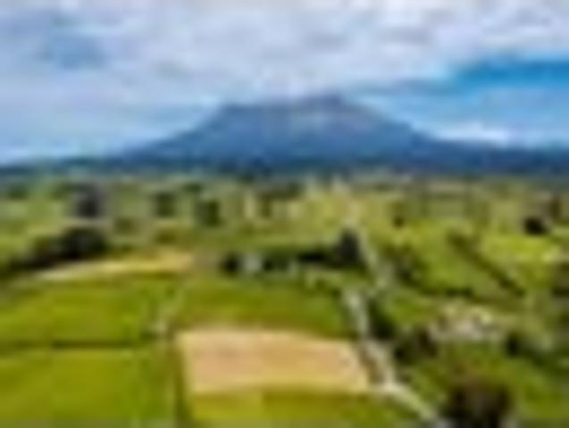 Land for sale in Taranaki