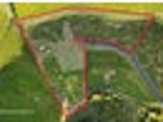 Land for sale in Waikato