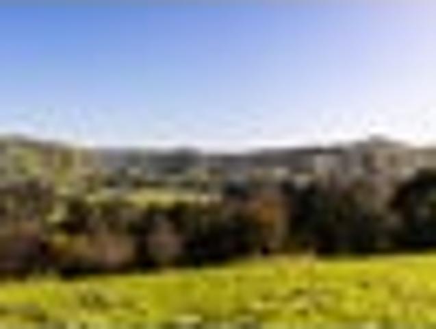 Land for sale in Waikato