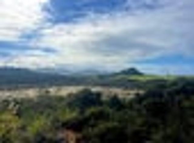 Land for sale in Great Barrier Island
