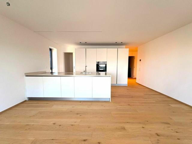 Wohnung kaufen in Massagno, Tessin