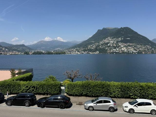 Wohnung kaufen in Paradiso, Tessin