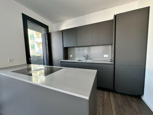 Wohnung kaufen in Canobbio, Tessin