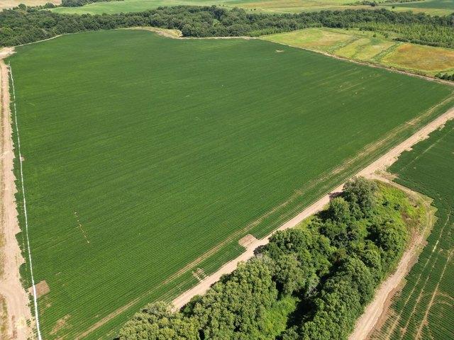 Farm for sale in Sunflower, Mississippi
