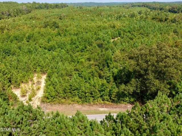 Land for sale in Winston, Mississippi