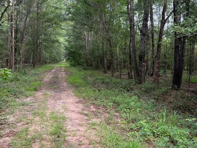 Land for sale in Sabine, Texas