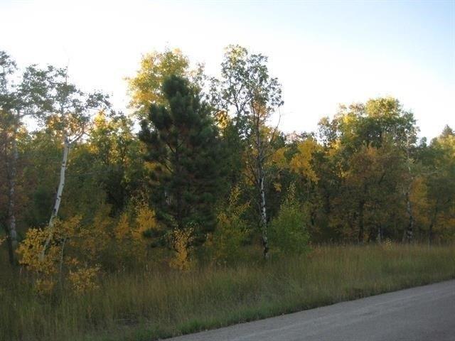 Land for sale in Sturgis, South Dakota