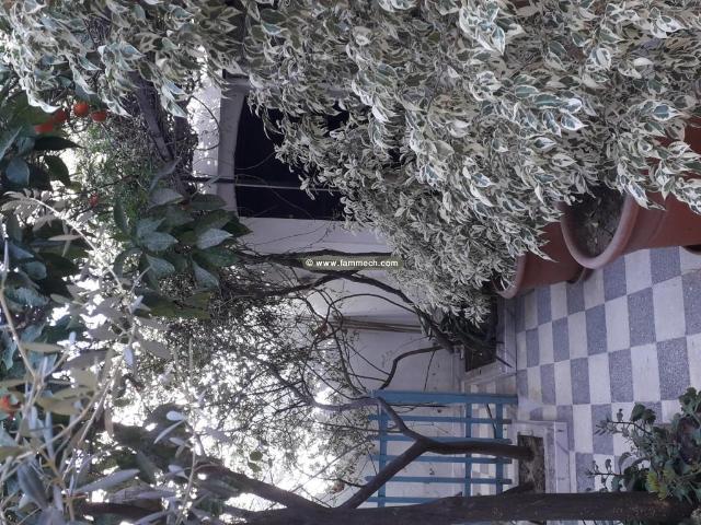 Maison vente à Sousse