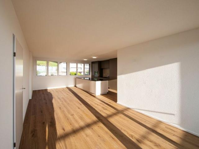 Apartment mieten in Niederwetzwil, Rickenbach