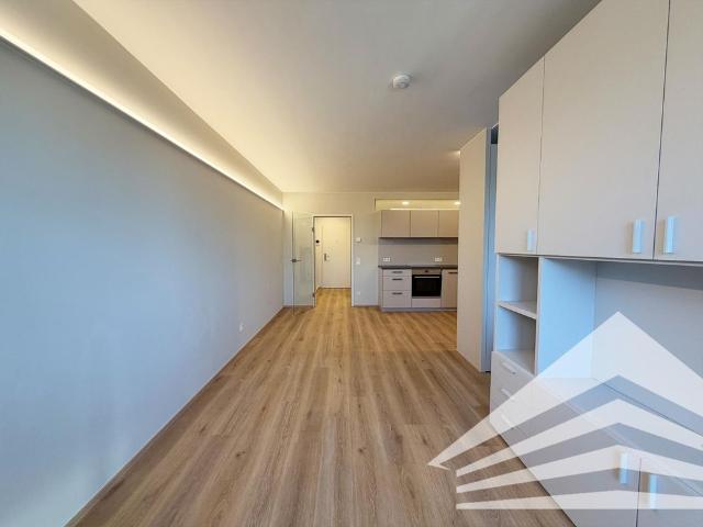 Apartment mieten in Innere Stadt, Linz