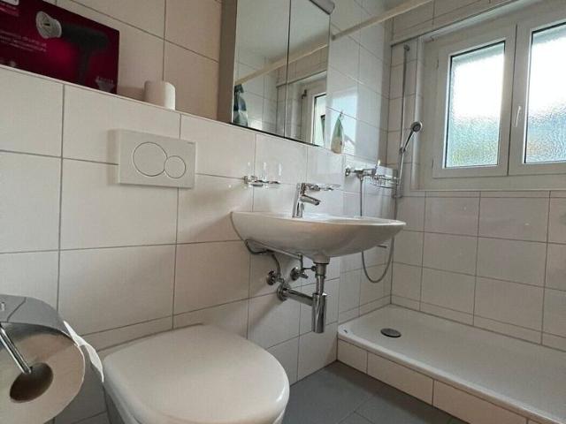 Apartment mieten in Dübendorf, Zürich