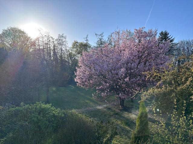 Apartment mieten in Prinz-Ludwigs-Höhe, München