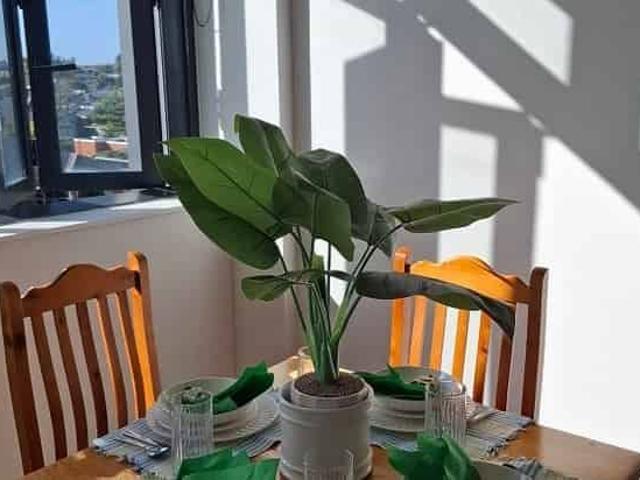 Apartment for rent in Bay Of Plenty