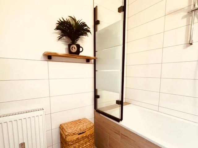Apartment mieten in Johannstadt, Dresden