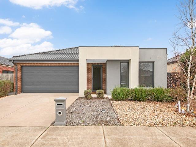 House for rent in Geelong, Victoria