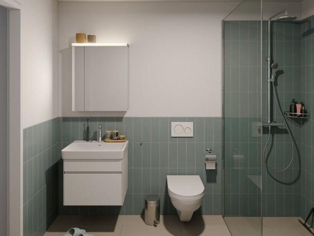 Apartment mieten in Einigen, Zürich