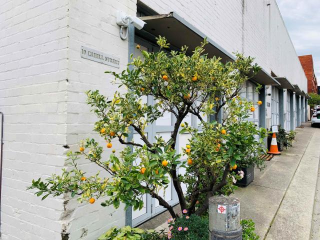 Apartment for rent in Annandale