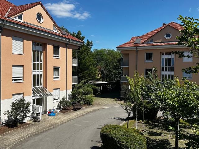 Apartment mieten in Tolkewitz, Dresden