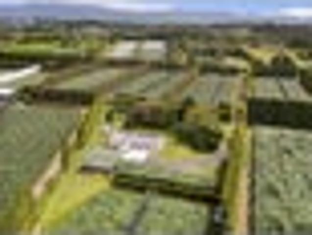 House for sale in Aongatete, Bay Of Plenty