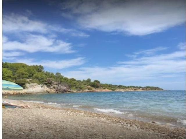 Local Comercial en venta en Baix Ebre, Catalunya