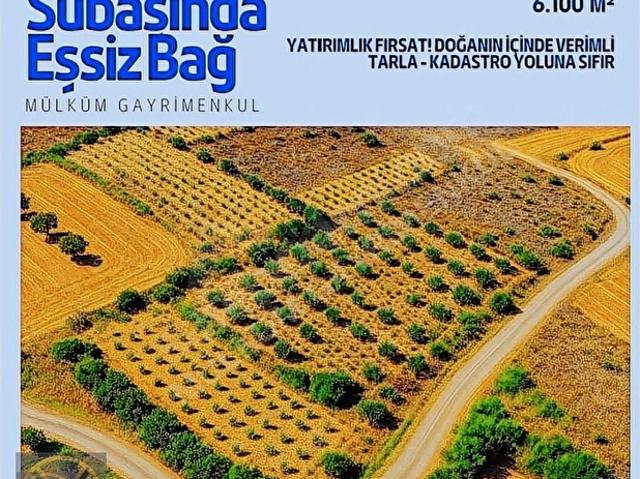Melikgazi, Kayseri içerisinde satılık mülk