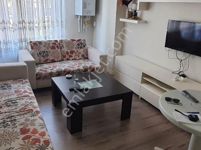 Ordu içerisinde kiralık mülk