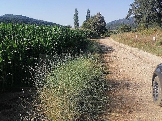 Ödemiş, İzmir içerisinde satılık Arsa