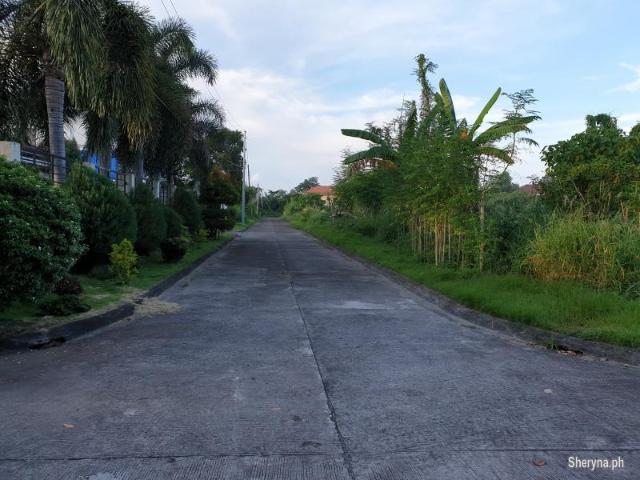 Subdivided Lots for Sale in a High End Subdivision