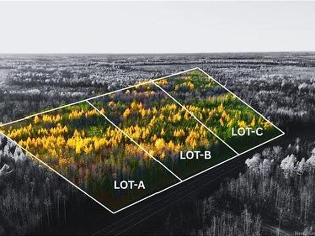 Land for sale in Collette, New Brunswick