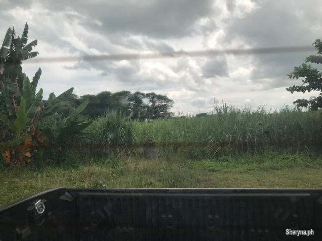 SUBDIVISION LOTS FOR SALE IN BAIS CITY ID 14700