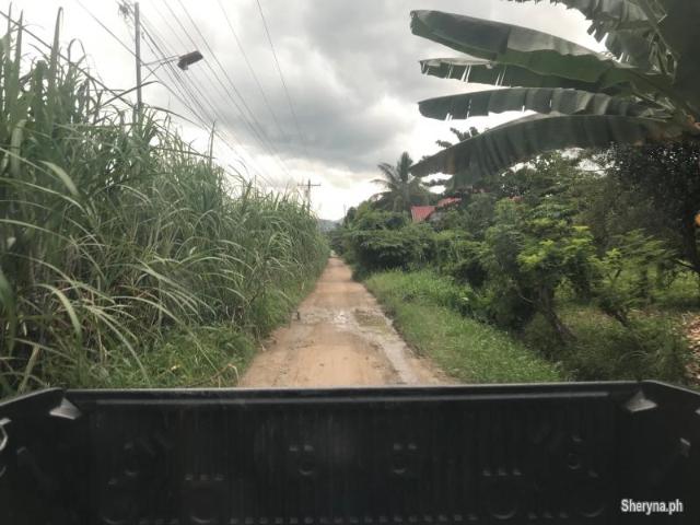 SUBDIVISION LOTS FOR SALE IN BAIS CITY ID 14700