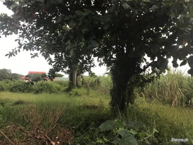 SUBDIVISION LOTS FOR SALE IN BAIS CITY ID 14700