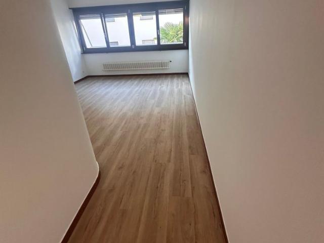 Apartment mieten in Locarno Monti, Locarno