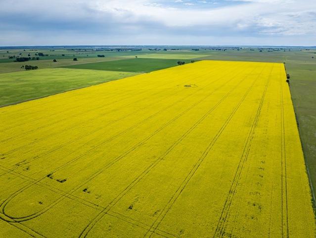 Acreage for sale in Bool Lagoon, Naracoorte Lucindale Council