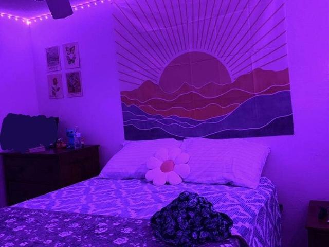 Apartment for rent in Aberdeen on Glen, Tampa