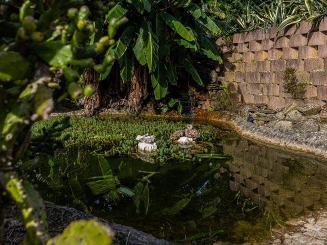 Casa alugar em Arouca, São Miguel Do Mato