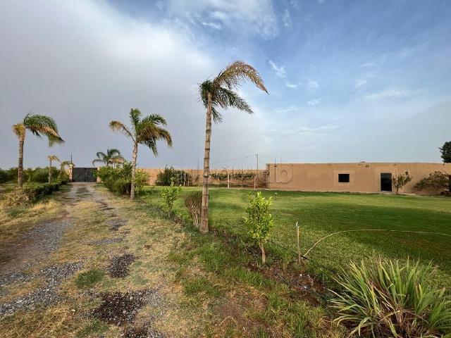 Ferme vente à Marrakech, L'Oriental