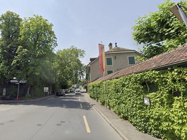 Einfamilienhaus kaufen in Collonge-Bellerive