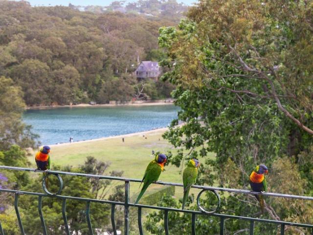 Apartment for sale in Northern Beaches, Sydney