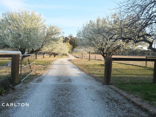 House for sale in Berrima, New South Wales