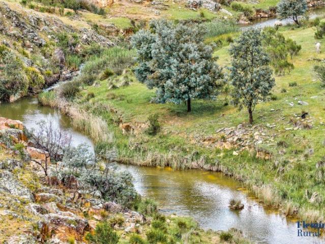 Cottage for sale in Rugby, New South Wales